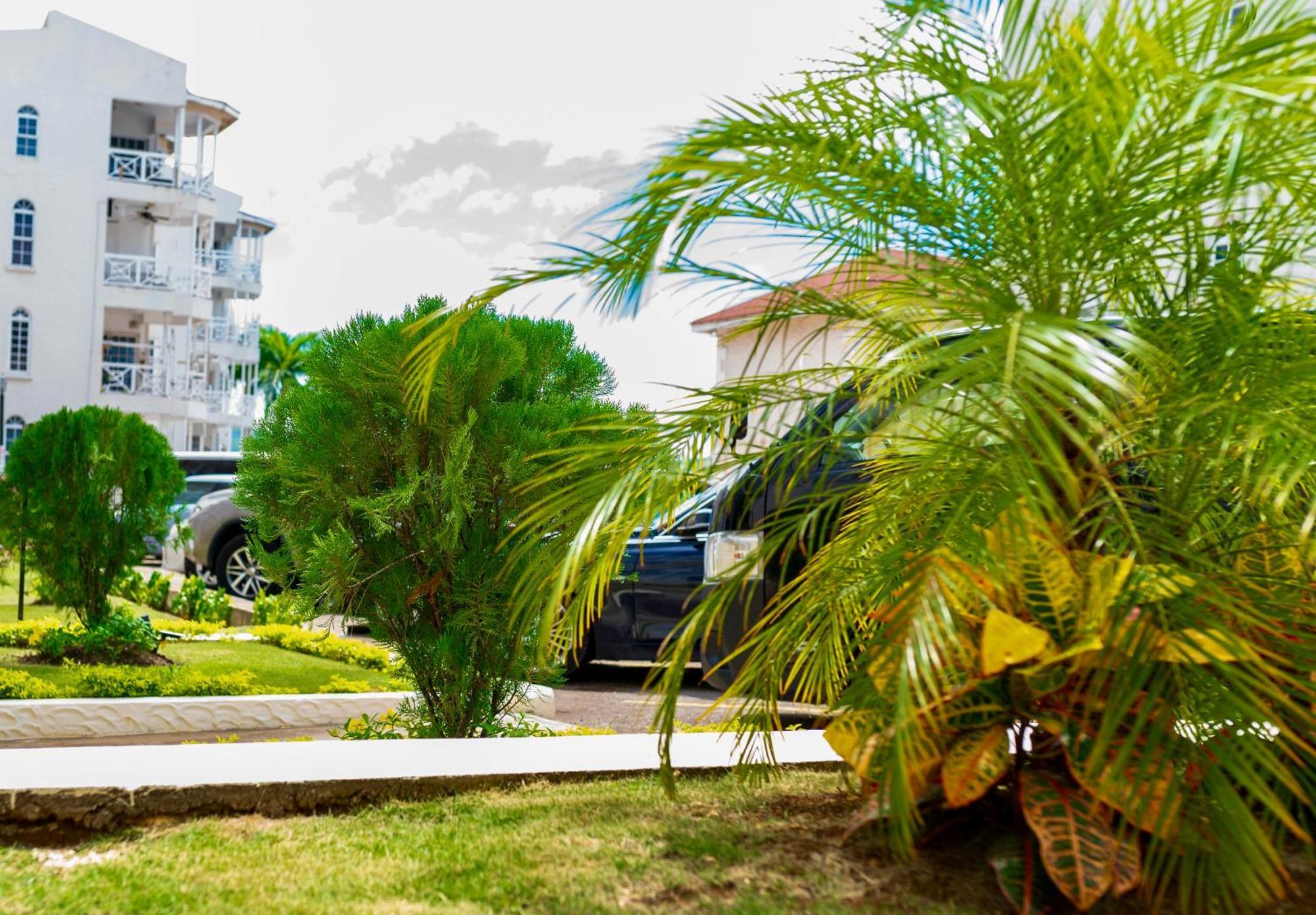 Falcon Oceanview 2br Condo-airport Transportation Available-24-7security Apartment *